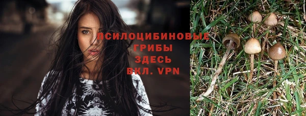 амф Волоколамск